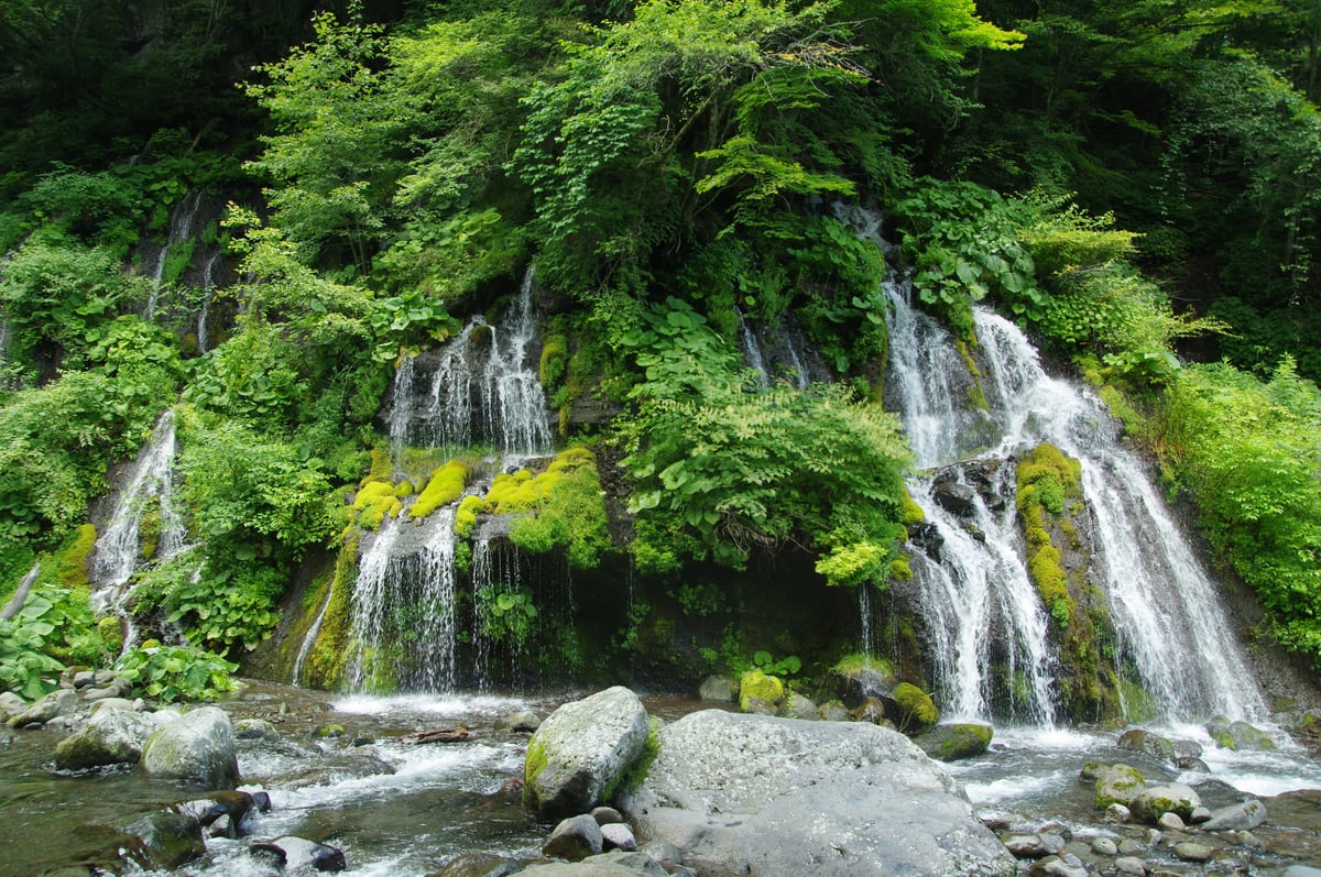 吐竜の滝